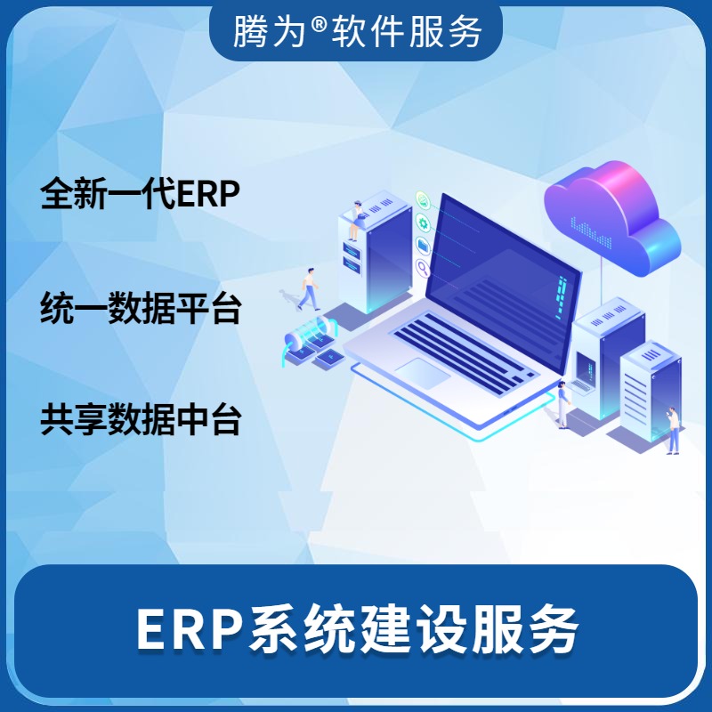 ERP系统建设服务咨询