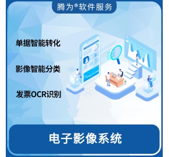 电子影像系统