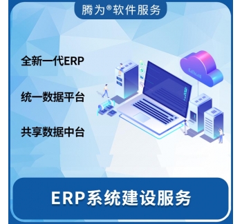 ERP系统建设服务咨询