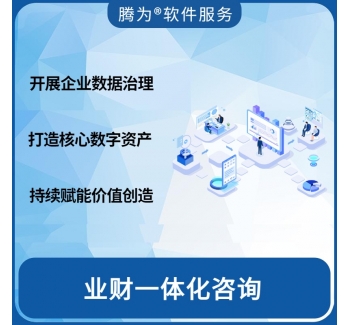 业财一体化咨询