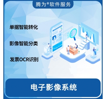 电子影像系统