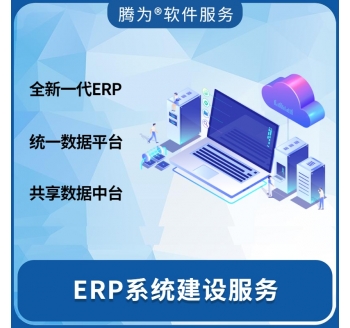 ERP系统建设服务咨询