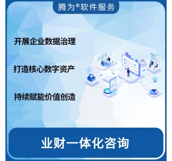 业财一体化咨询