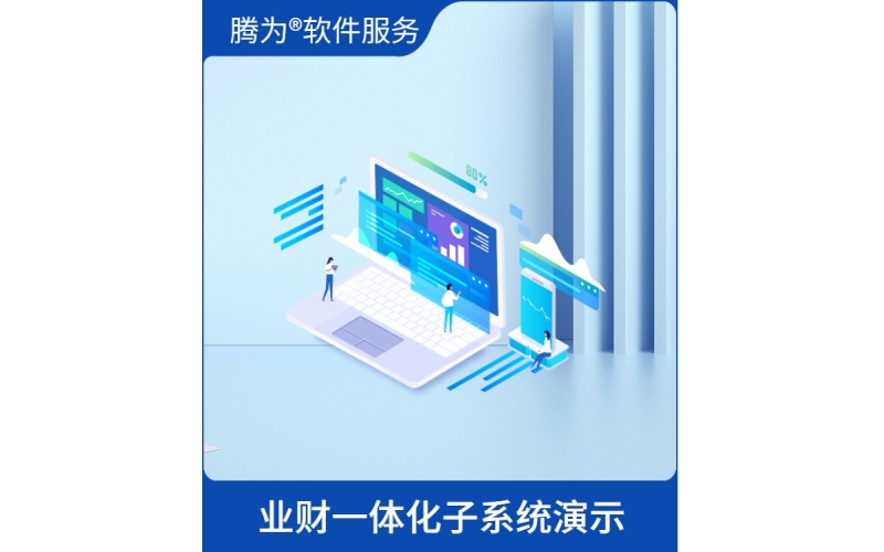 业财一体化咨询